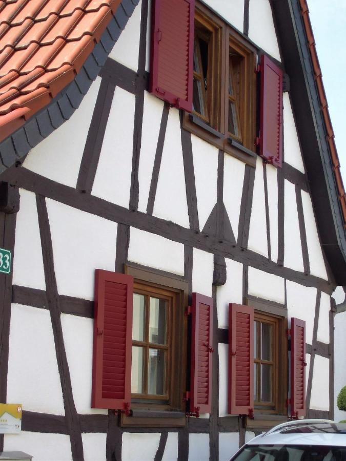 Ferienhaus Pfalzklause Billigheim-Ingenheim Exteriér fotografie