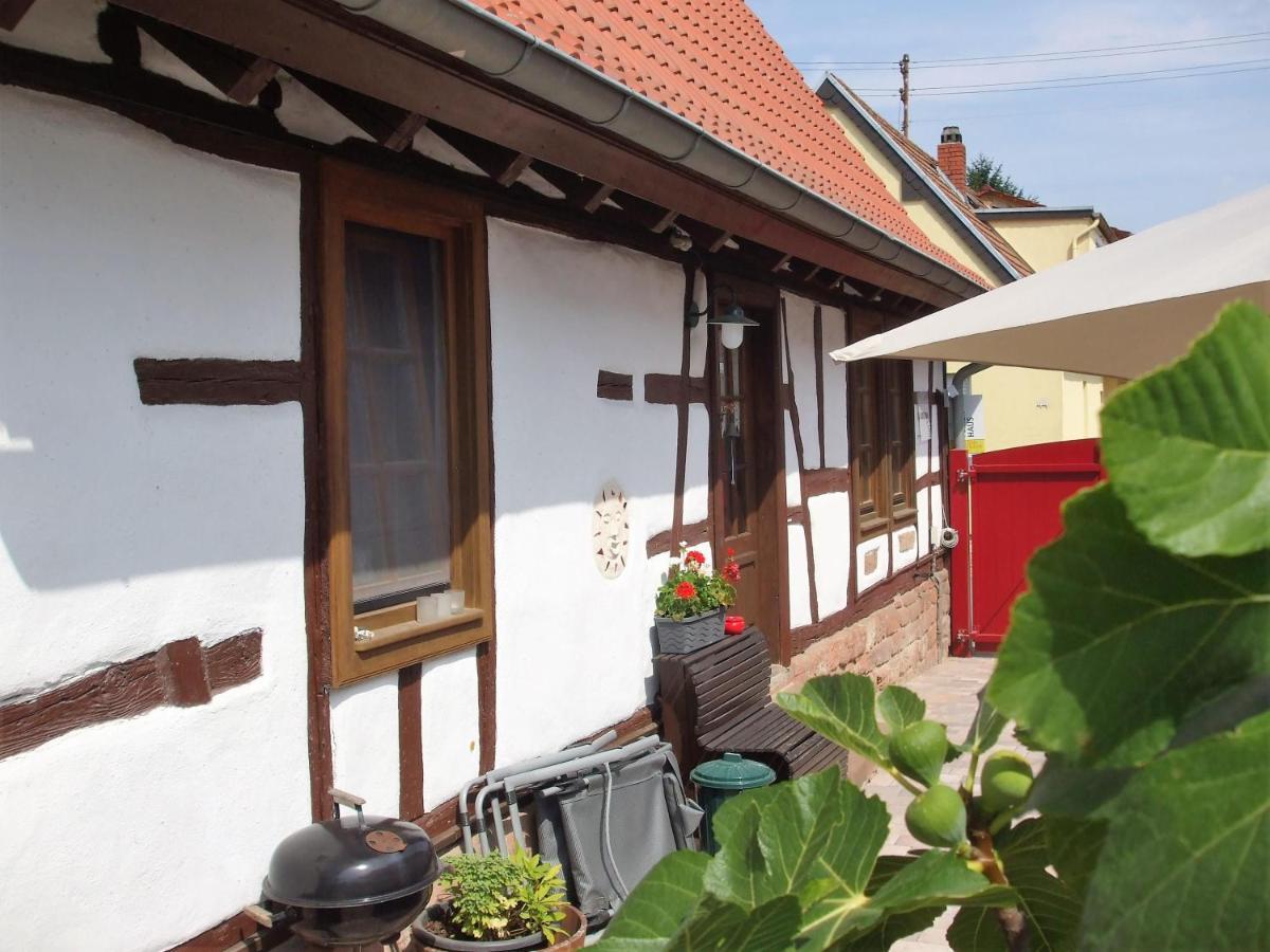 Ferienhaus Pfalzklause Billigheim-Ingenheim Exteriér fotografie